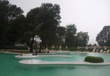 WP_000269